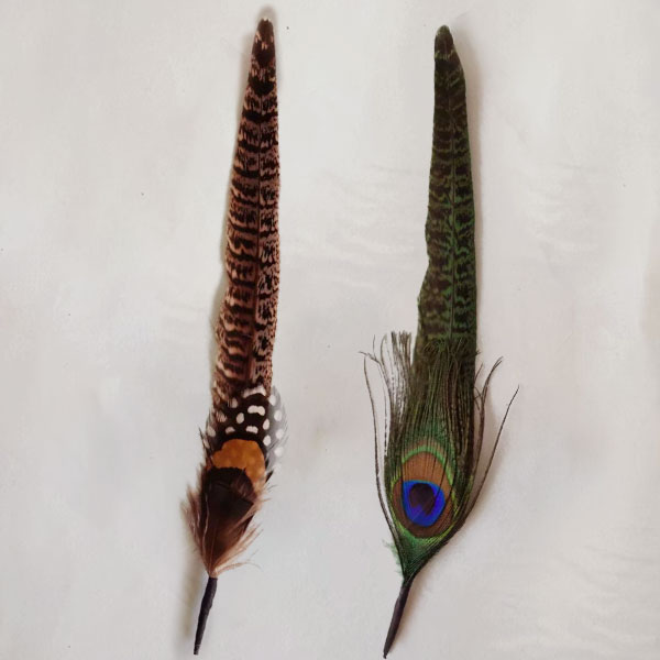 hat feather