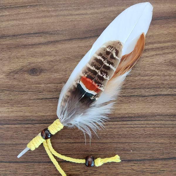 hat feather